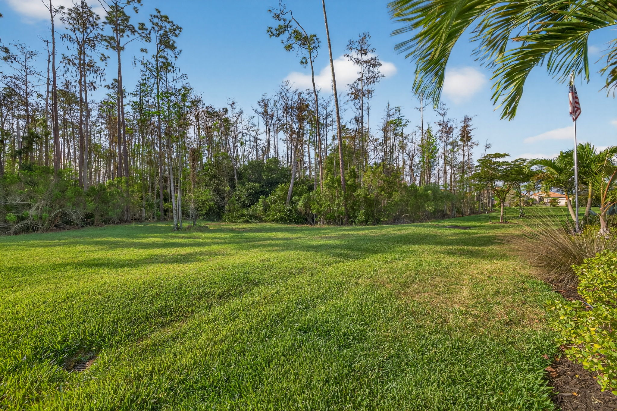 Rear Exterior 1 of 2