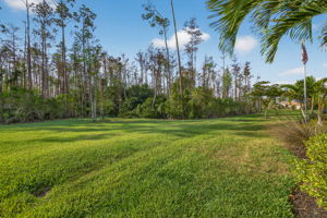 Rear Exterior 1 of 2