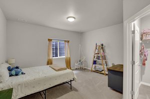 Basement Bedroom