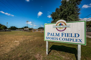 Palm Field Sports Complex1