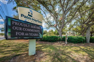 Palm Harbor Library1