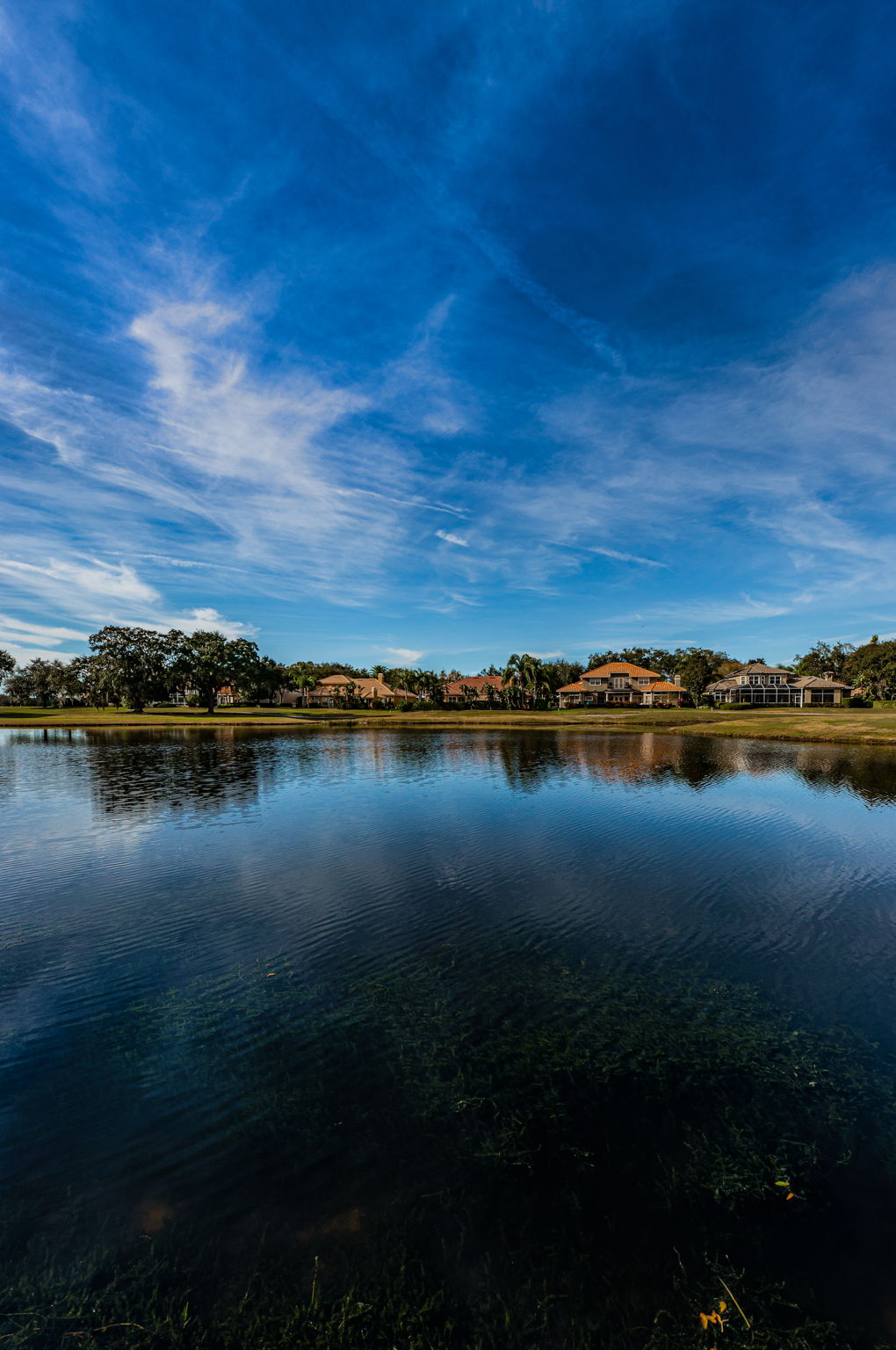 Water View2