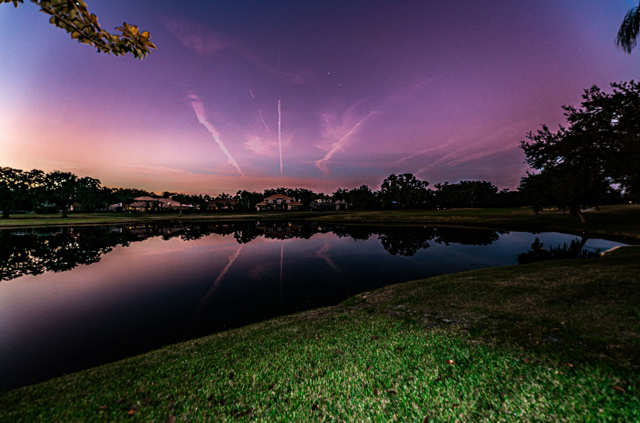 Backyard9