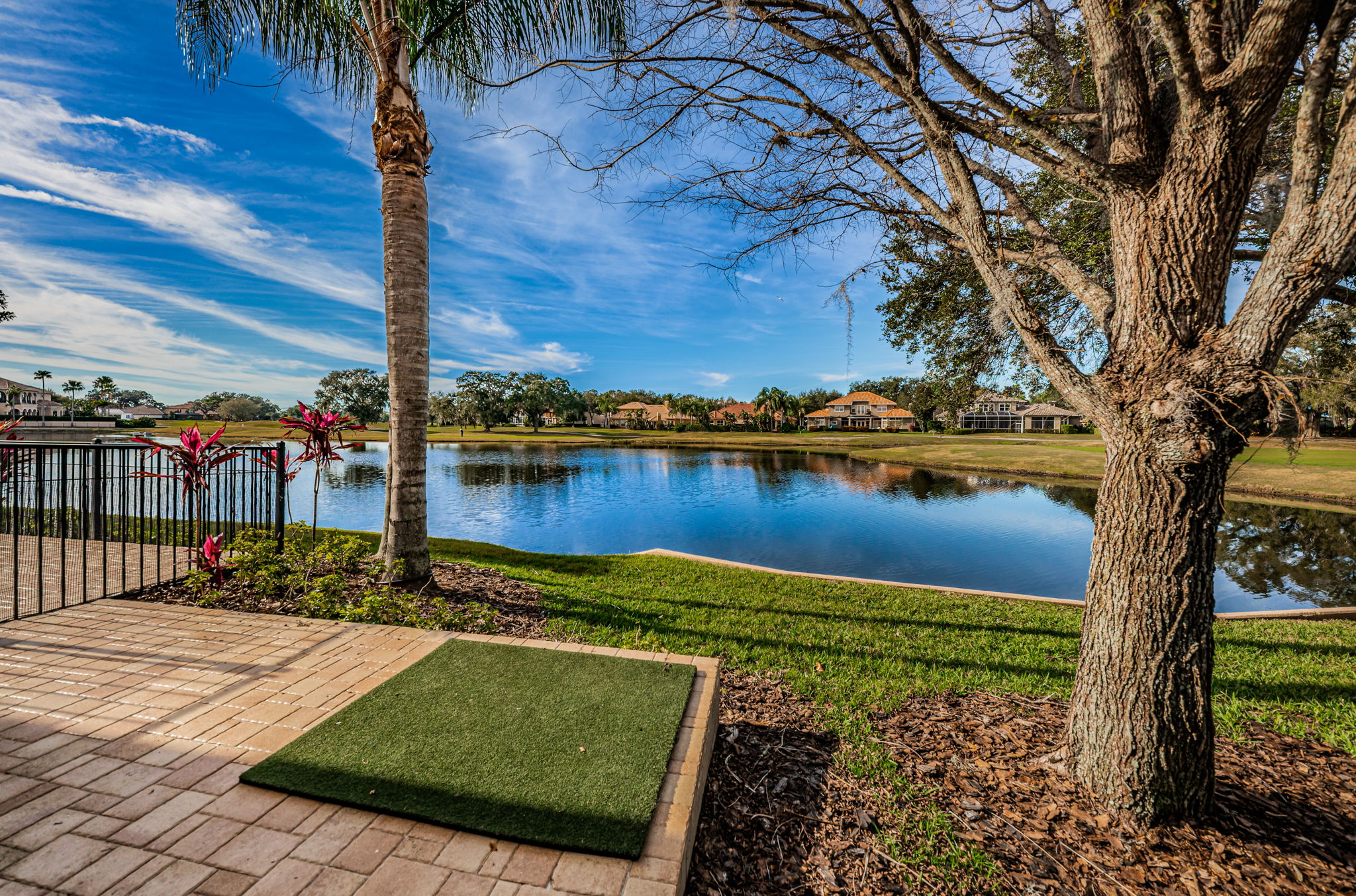 Patio and Backyard