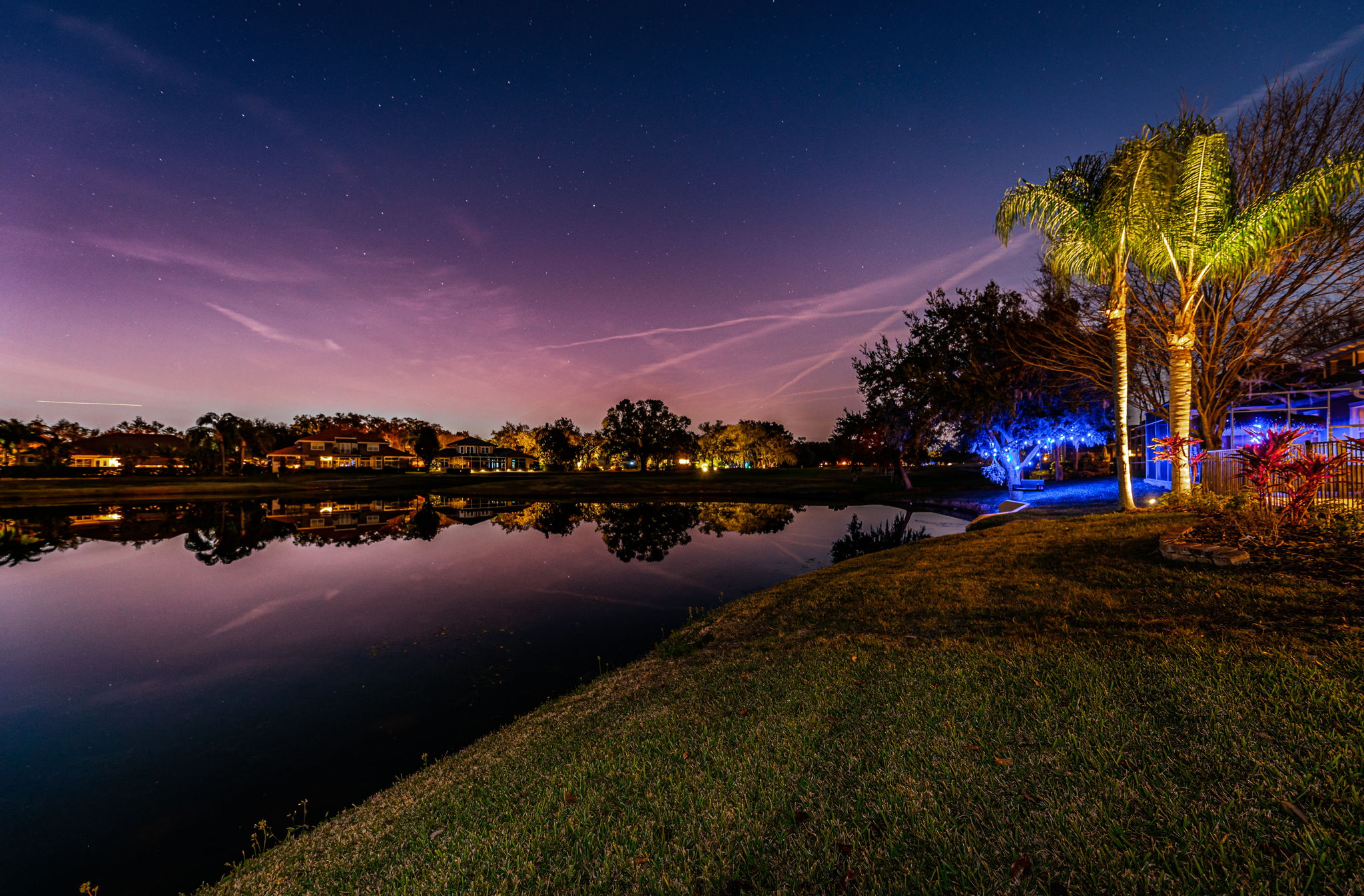 Backyard12