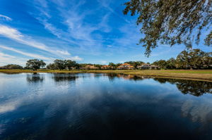 Water View1