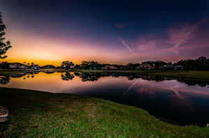 Backyard7