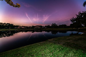 Backyard9