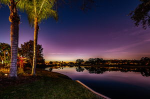 Backyard14