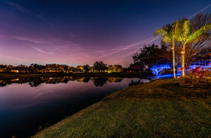 Backyard12
