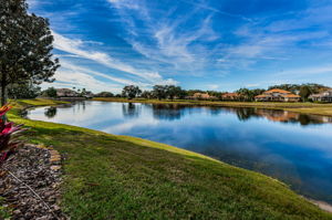 Backyard1