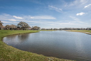 37-Pond