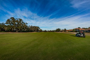 Golf Course1