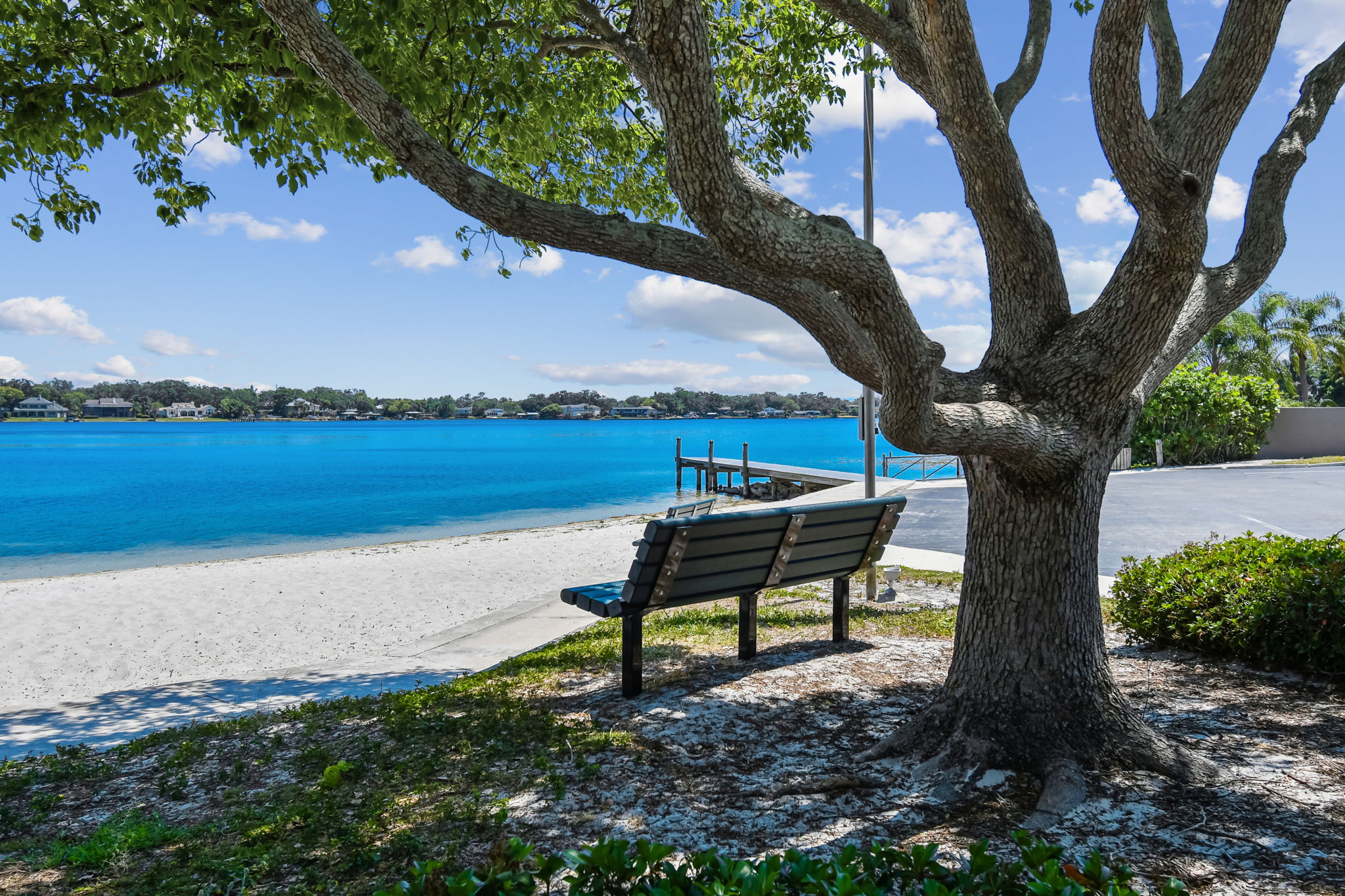 Beach bench under oak, white sand