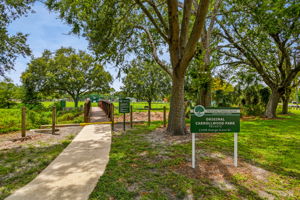 Park path and lake path