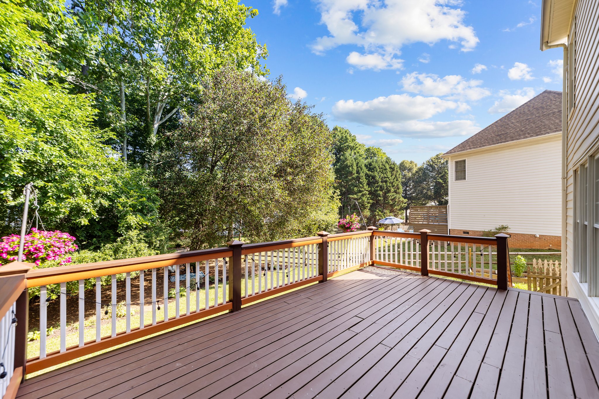 Festive string lights and plant hangers