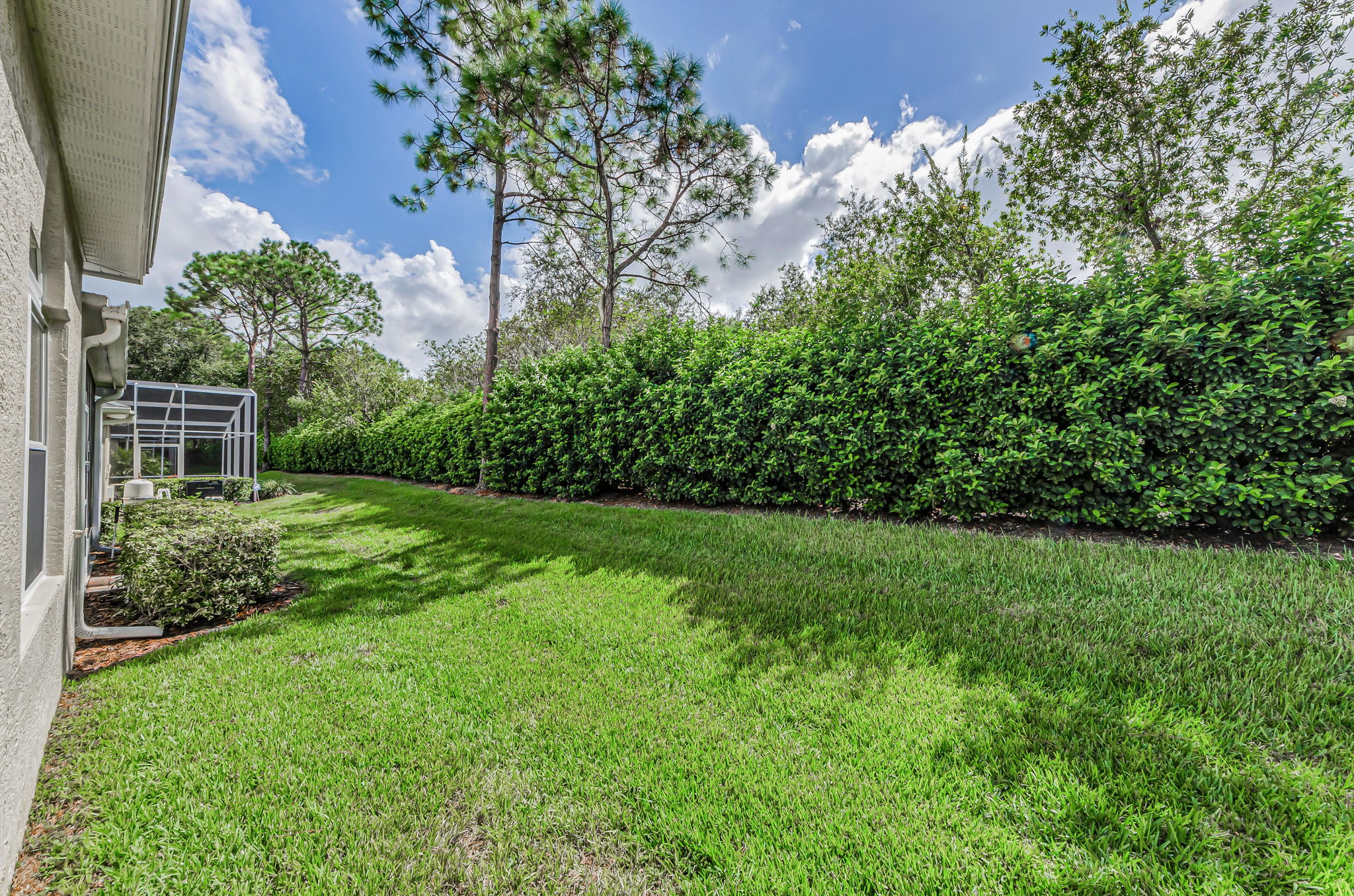 Backyard 2