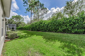 Backyard 2