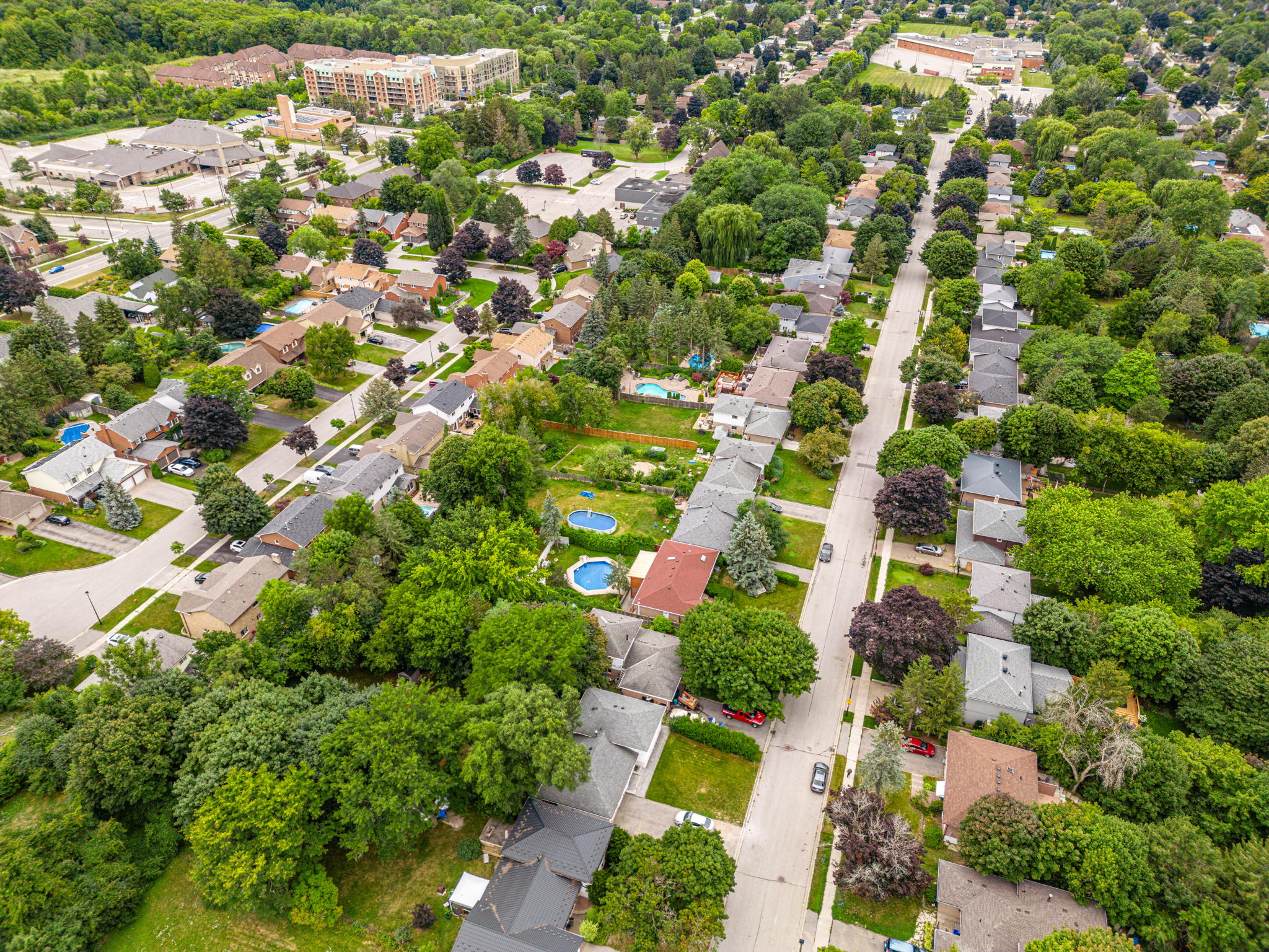 Newmarket property showcase — delivered property photograph 51