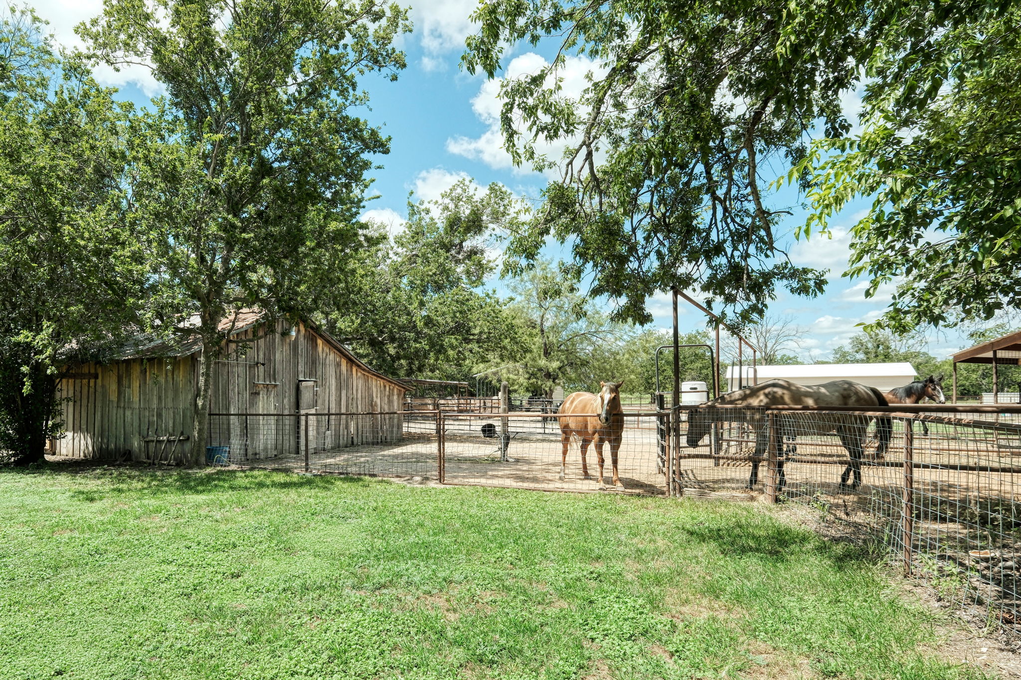 Barn/Area for Horses