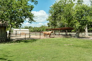 Area for Horses