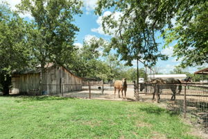 Barn/Area for Horses