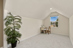 Family Room / Guest Bed #1