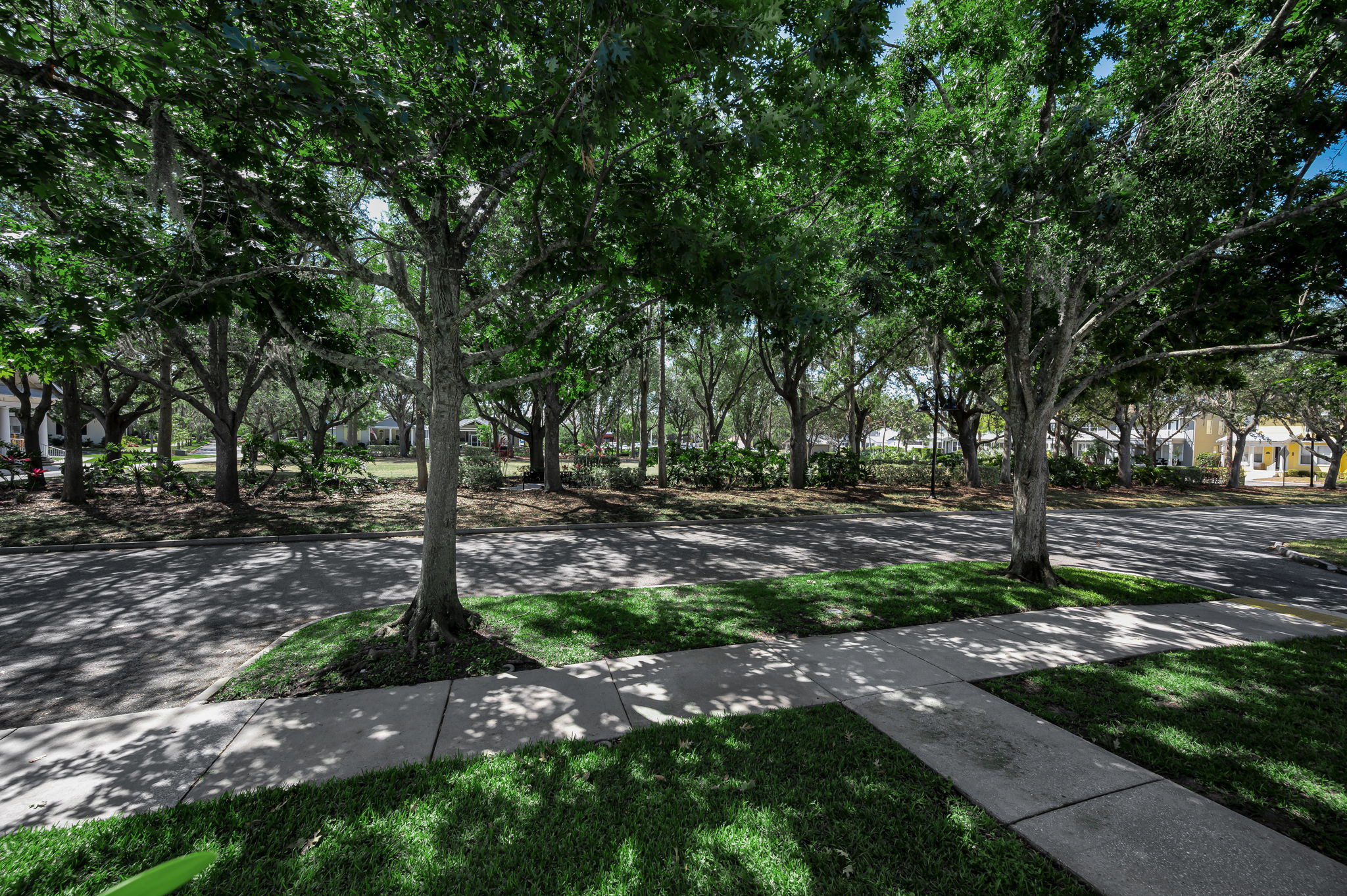 Frontyard1