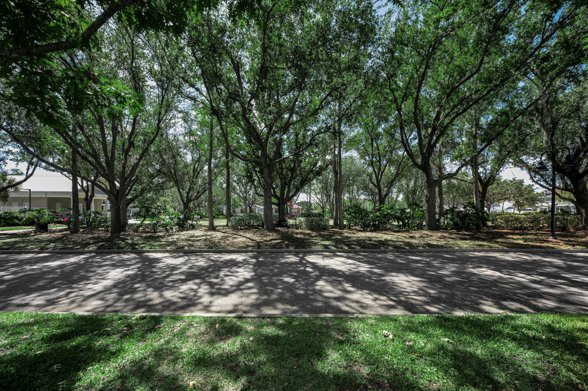 Frontyard2