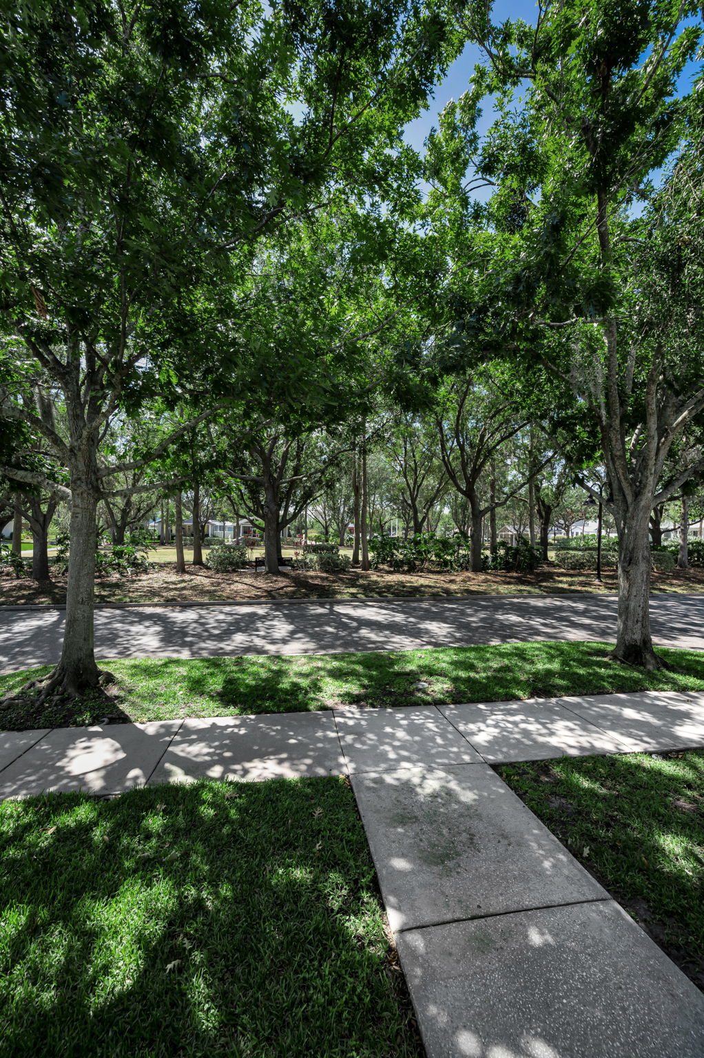 Frontyard3