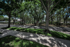 Frontyard4