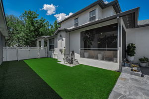 Backyard1