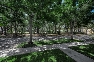 Frontyard1