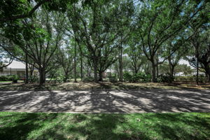 Frontyard2