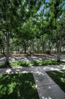 Frontyard3