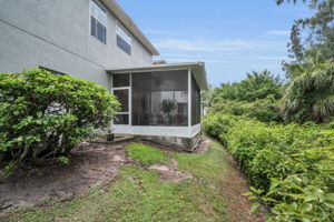 Backyard3
