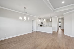 Nighthawk Trl-S1311-007.jpg