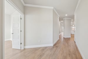 Nighthawk Trl-S1311-015.jpg