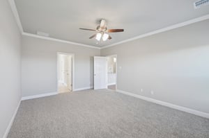 Nighthawk Trl-S1311-024.jpg