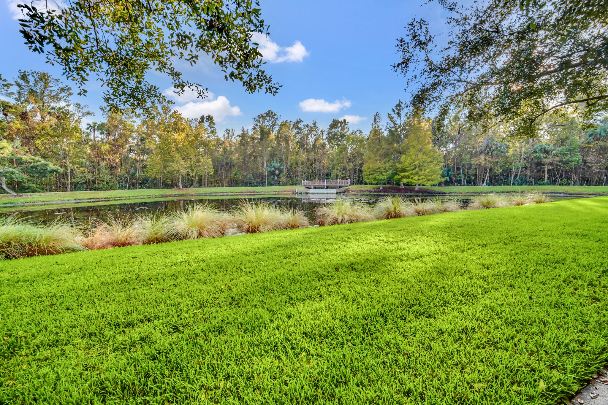 Pond Across From Home (Front Patio View)