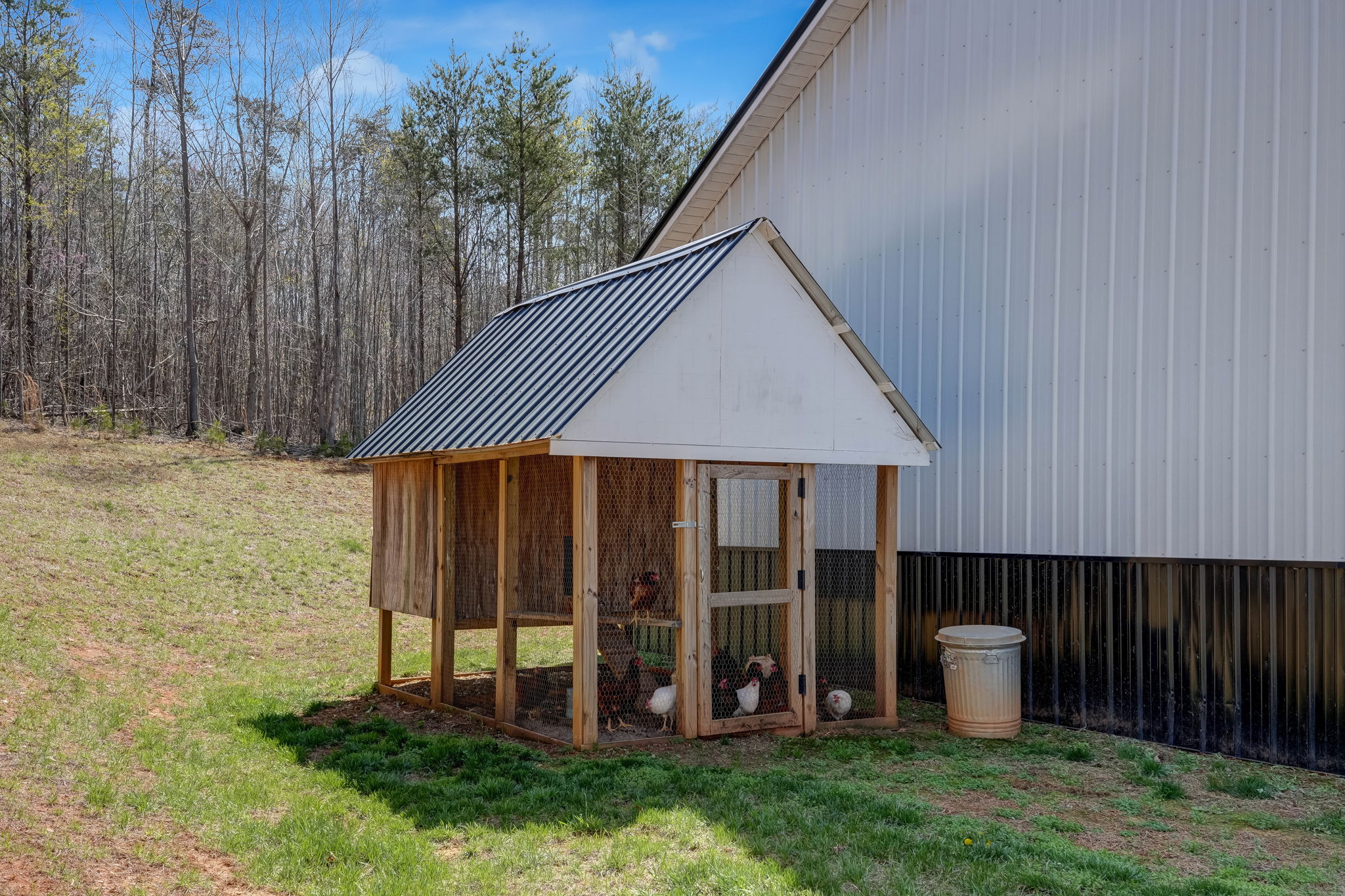 Chicken Coop