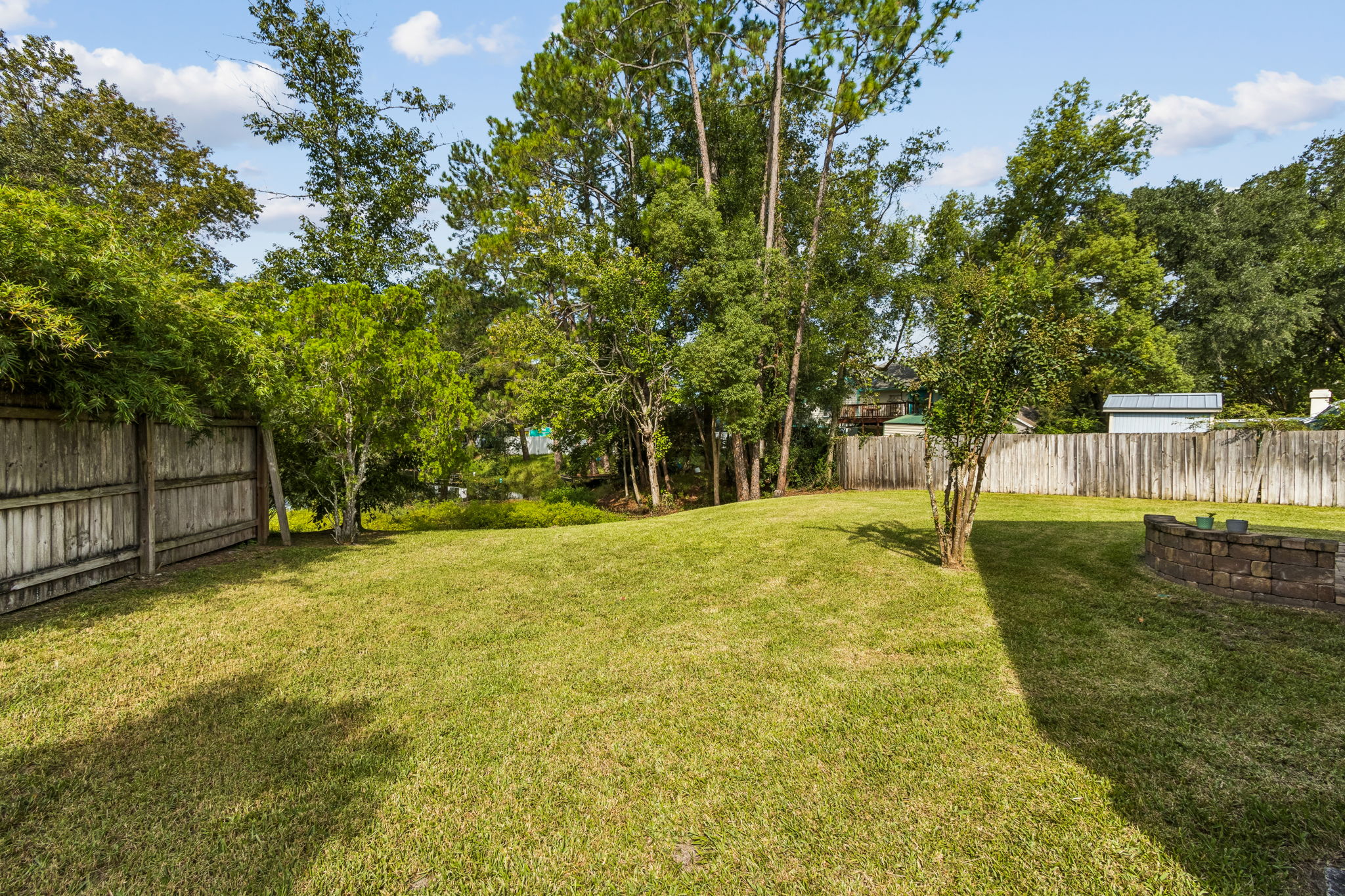 Backyard