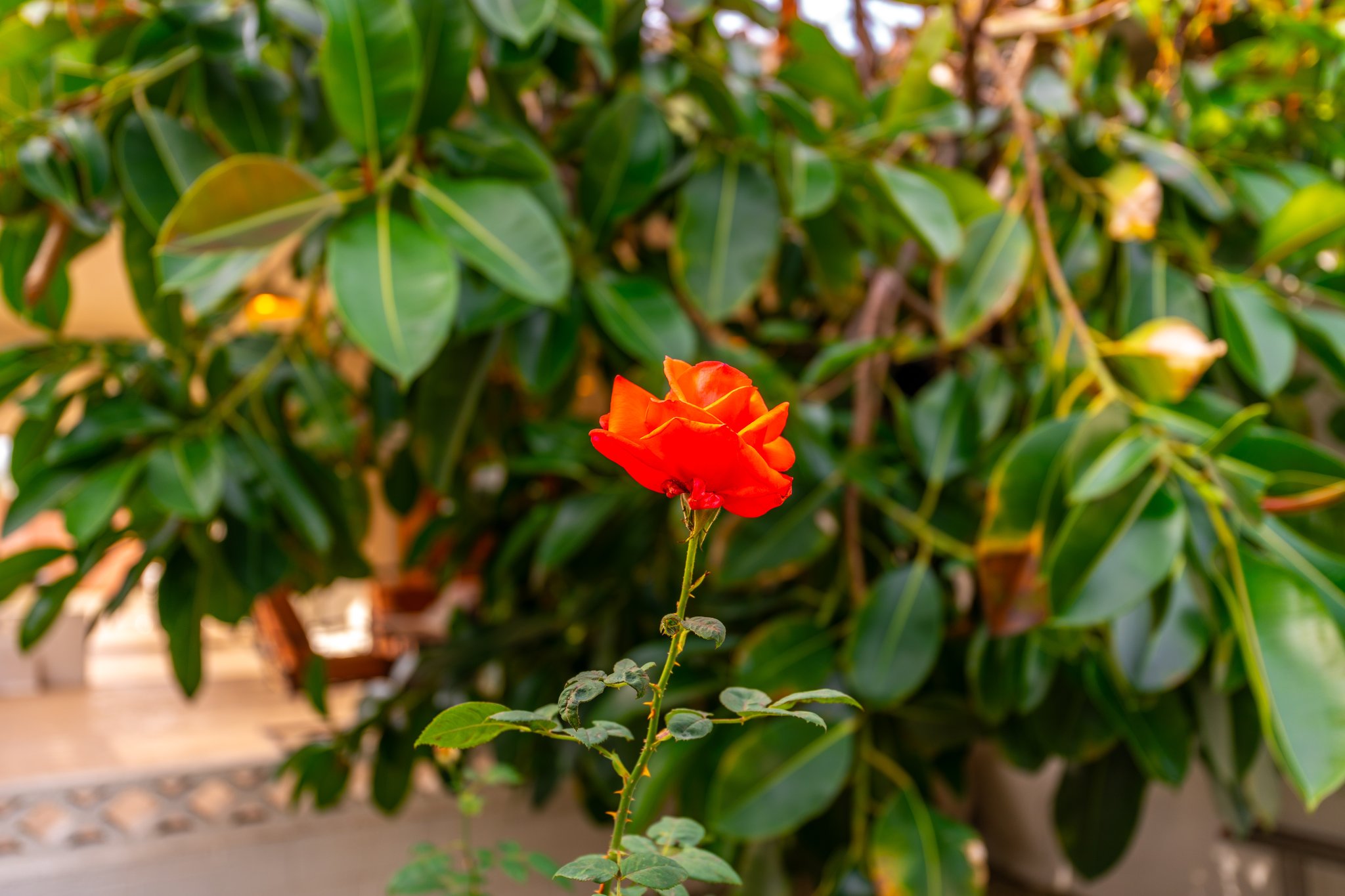  Photo 41