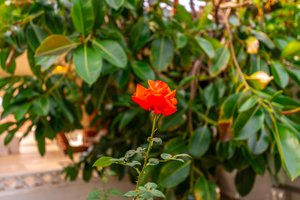  Photo 40