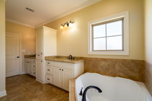 Master Bathroom view 2