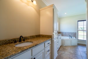 Master Bathrooom View 1