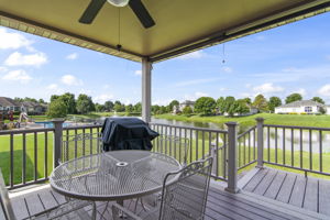 Back Patio 2