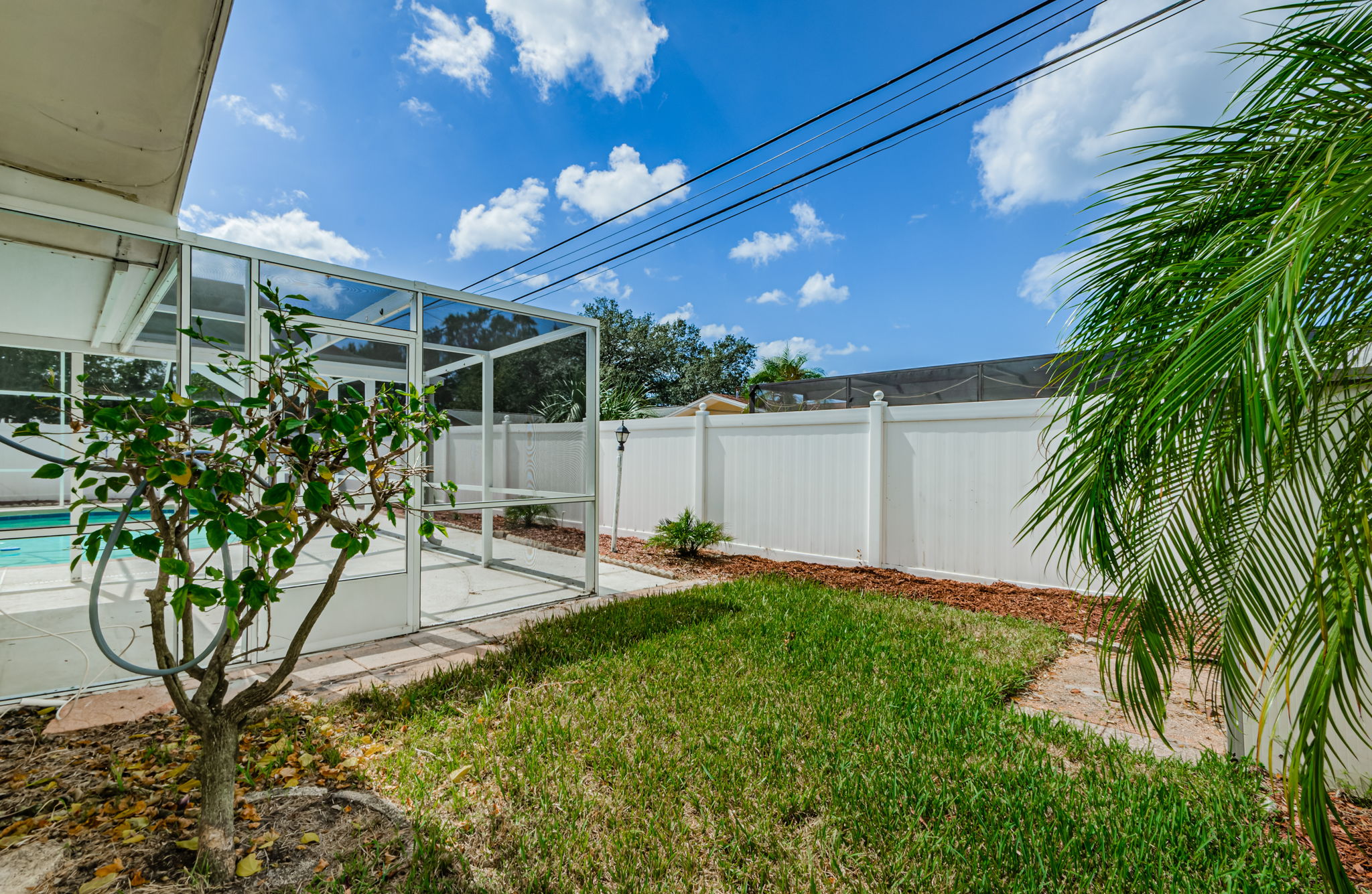 Backyard 1A