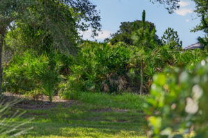  Photo 84