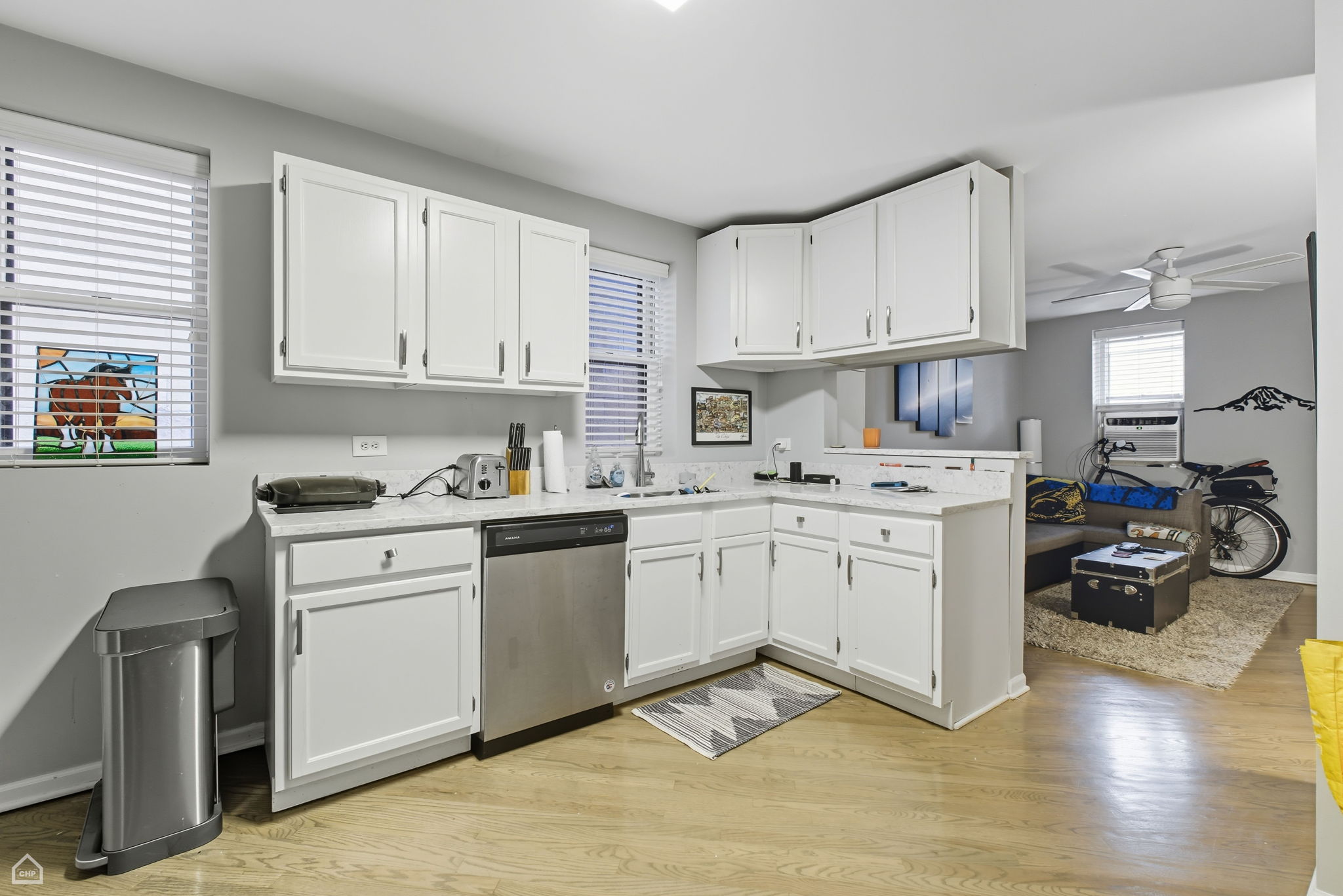 1036 N Honore St - Karen Ranquist_CHP2025_019